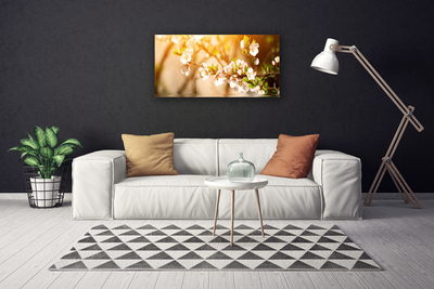 Quadro canvas Flores Planta Natureza