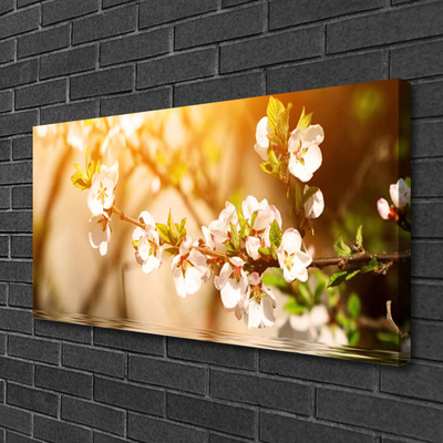 Quadro canvas Flores Planta Natureza