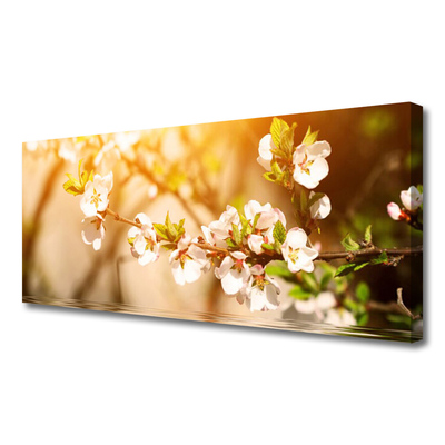 Quadro canvas Flores Planta Natureza