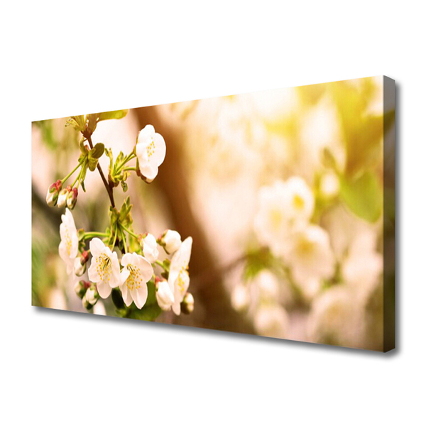 Quadro em tela Flores Planta Natureza