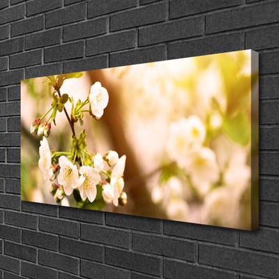 Quadro em tela Flores Planta Natureza