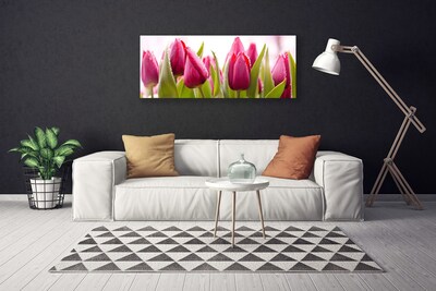 Quadro canvas Tulipas Flores Planta