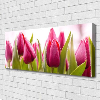 Quadro canvas Tulipas Flores Planta
