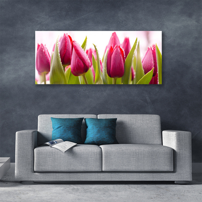 Quadro canvas Tulipas Flores Planta