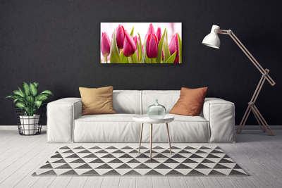 Quadro canvas Tulipas Flores Planta