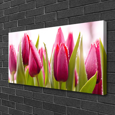 Quadro canvas Tulipas Flores Planta