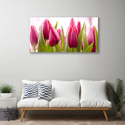 Quadro canvas Tulipas Flores Planta