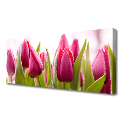 Quadro canvas Tulipas Flores Planta
