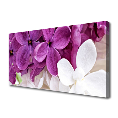 Quadro em tela Flores Planta Natureza