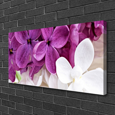 Quadro em tela Flores Planta Natureza