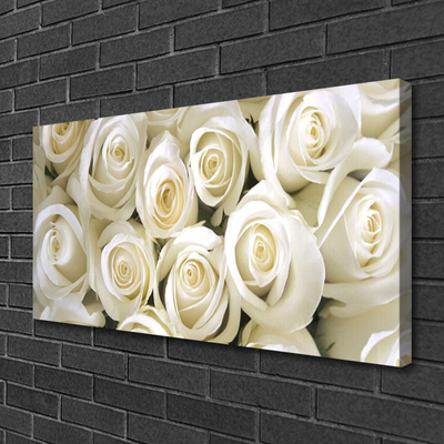 Quadro em tela Planta de flores rosas