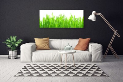 Quadro canvas Natureza da planta grama