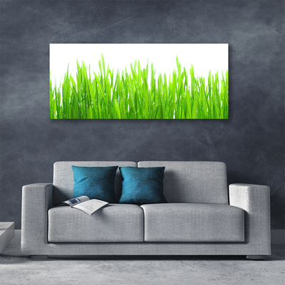 Quadro canvas Natureza da planta grama