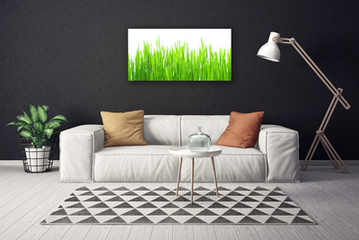 Quadro canvas Natureza da planta grama