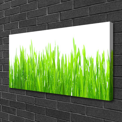 Quadro canvas Natureza da planta grama
