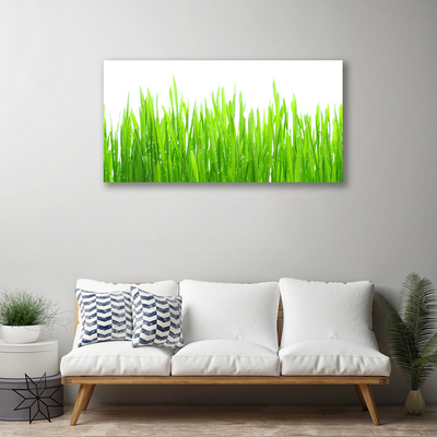 Quadro canvas Natureza da planta grama
