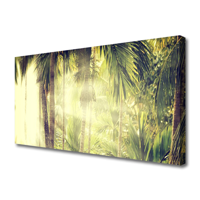 Quadro canvas Floresta Palmeiras Natureza