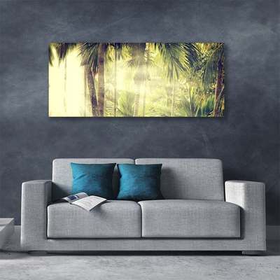 Quadro canvas Floresta Palmeiras Natureza