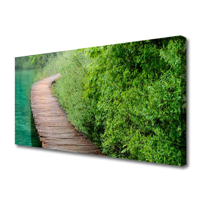 Quadro em tela Arquitetura de árvores de ponte