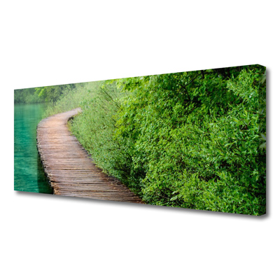 Quadro em tela Arquitetura de árvores de ponte