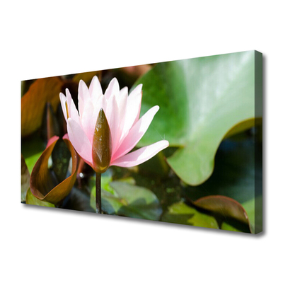 Quadro canvas Flor Planta Natureza