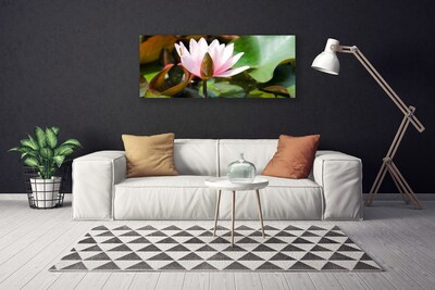 Quadro canvas Flor Planta Natureza