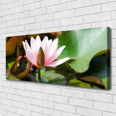Quadro canvas Flor Planta Natureza