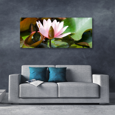 Quadro canvas Flor Planta Natureza