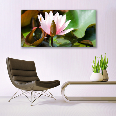 Quadro canvas Flor Planta Natureza
