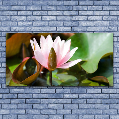 Quadro canvas Flor Planta Natureza
