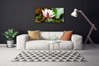 Quadro canvas Flor Planta Natureza