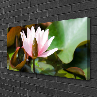 Quadro canvas Flor Planta Natureza
