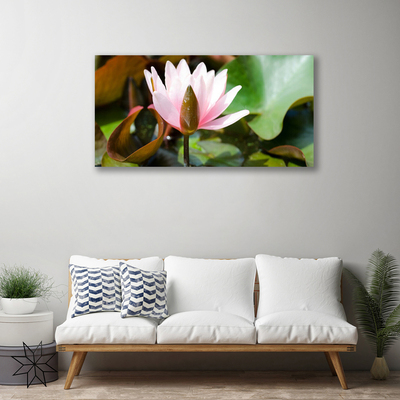 Quadro canvas Flor Planta Natureza