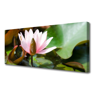 Quadro canvas Flor Planta Natureza