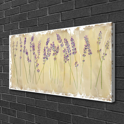 Quadro canvas Flores Planta Natureza