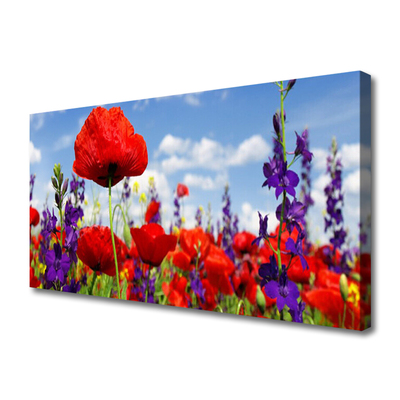 Quadro canvas Flores Planta Natureza