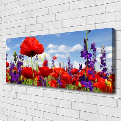 Quadro canvas Flores Planta Natureza