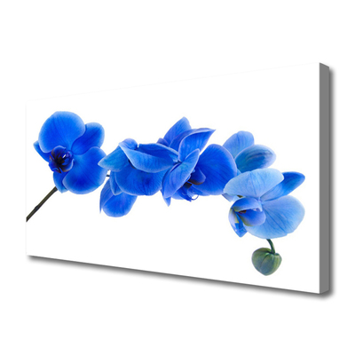 Quadro canvas Flor Planta Natureza