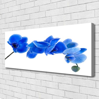 Quadro canvas Flor Planta Natureza