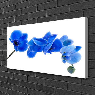 Quadro canvas Flor Planta Natureza