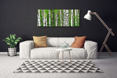 Quadro em tela Floresta Planta Natureza Árvores