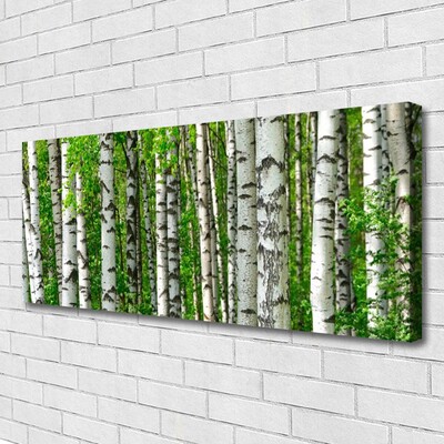 Quadro em tela Floresta Planta Natureza Árvores