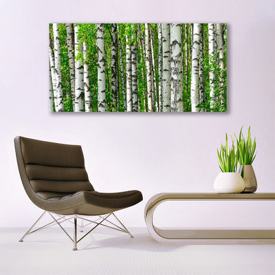 Quadro em tela Floresta Planta Natureza Árvores