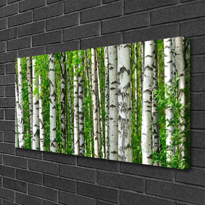 Quadro em tela Floresta Planta Natureza Árvores