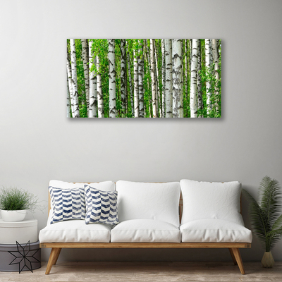 Quadro em tela Floresta Planta Natureza Árvores