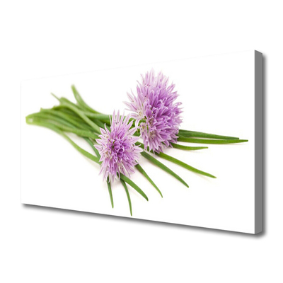 Quadro canvas Flores Planta Natureza