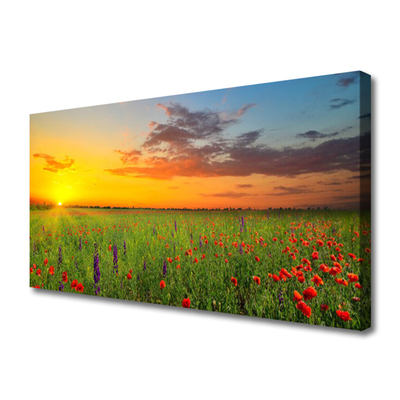 Quadro canvas Sun Meadow Flores Natureza