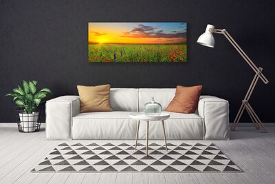 Quadro canvas Sun Meadow Flores Natureza
