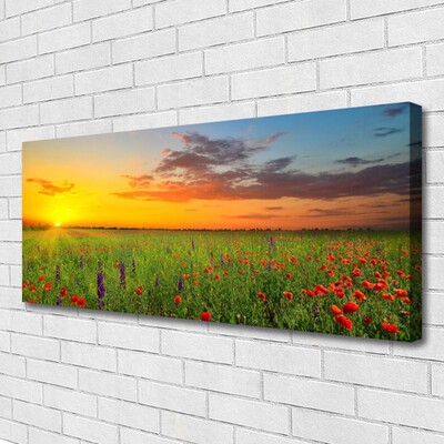 Quadro canvas Sun Meadow Flores Natureza