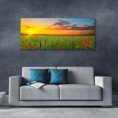 Quadro canvas Sun Meadow Flores Natureza